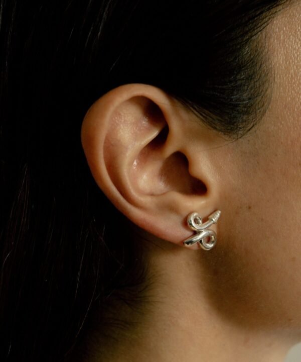 Alternative view of Aretes Aspid Plateados