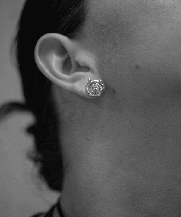 Alternative view of Aretes Koru Plata