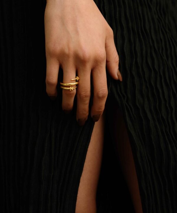 Alternative view of Anillo Chipcali Plateado