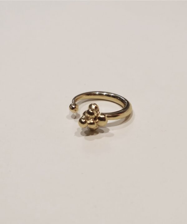 Anillo Maiz Dorado